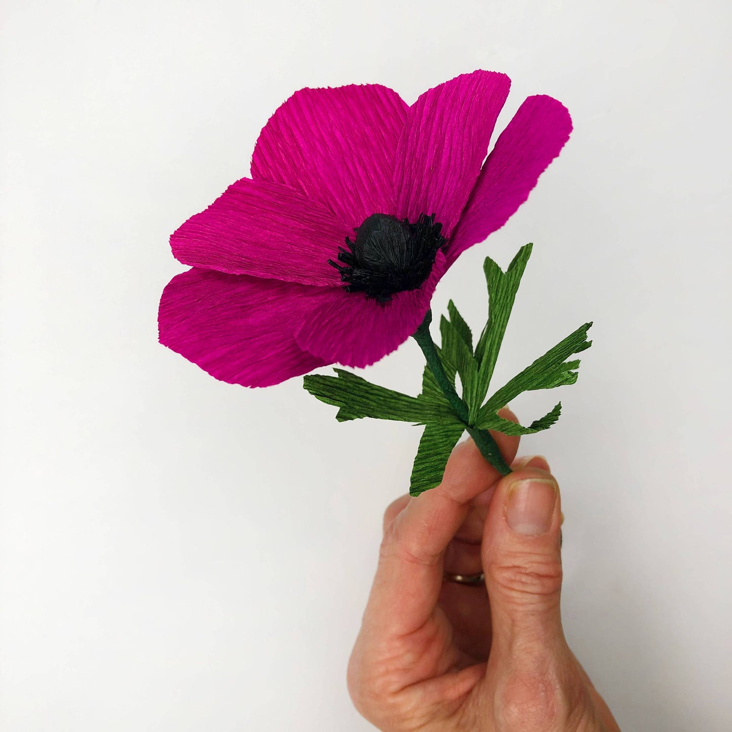 Anemone Paper Flower Kit