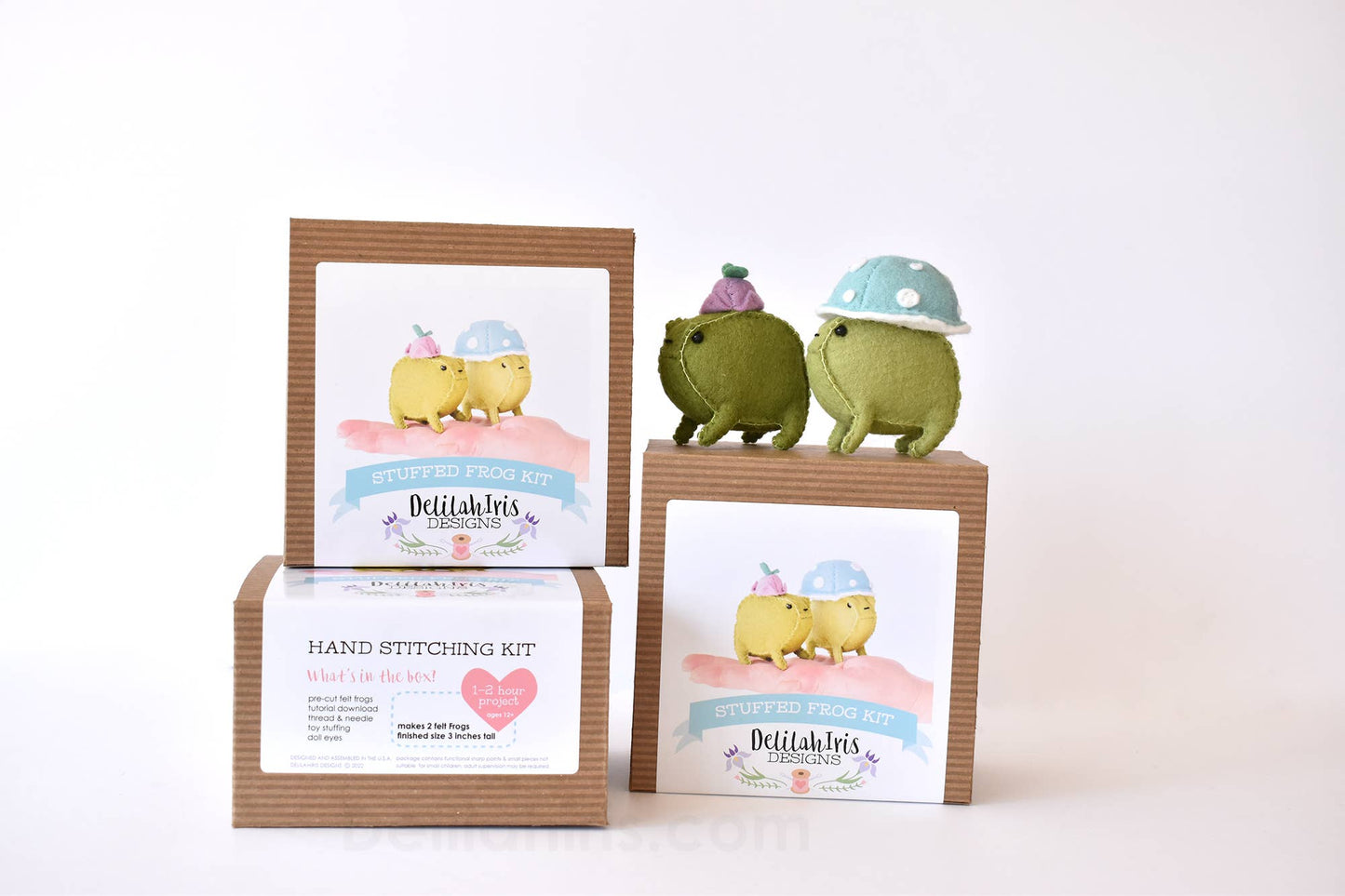 Felt Frog Sewing Craft Kit