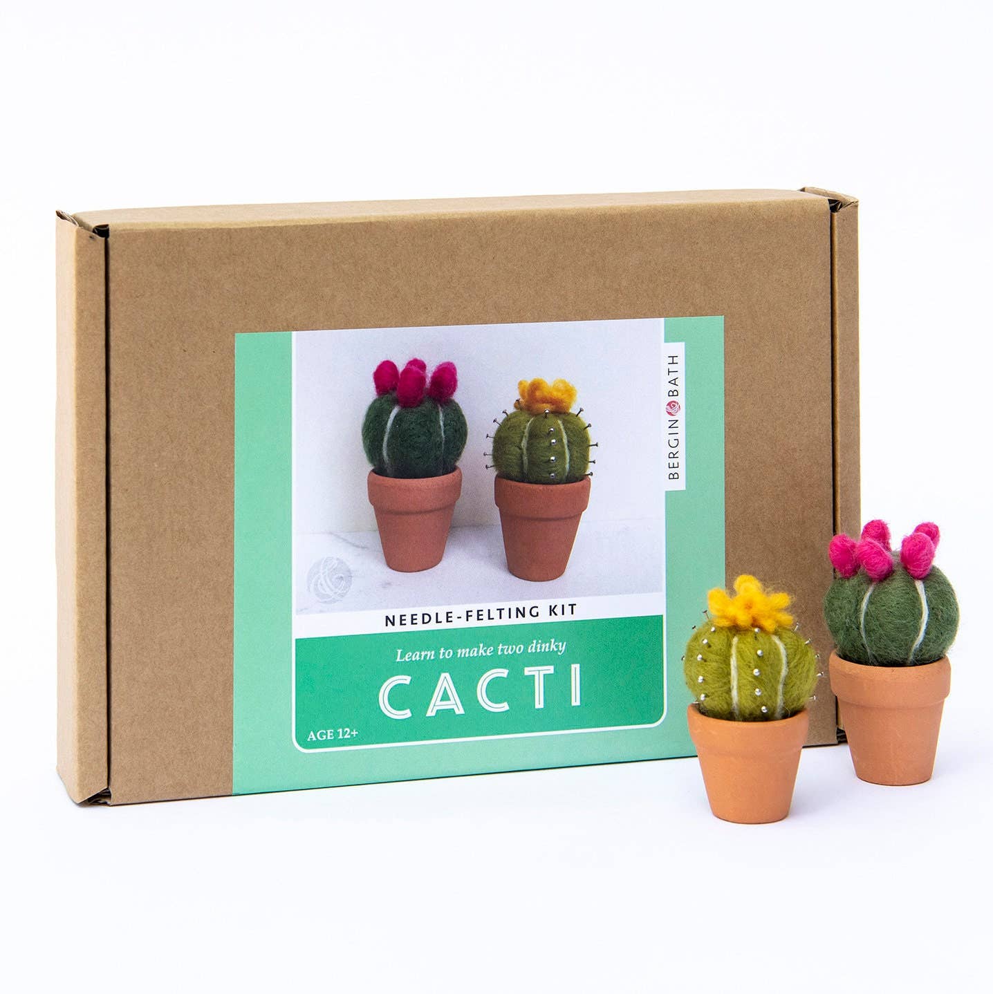 Cacti Needle Felting Kit - SLOLife Studio & Mercantile