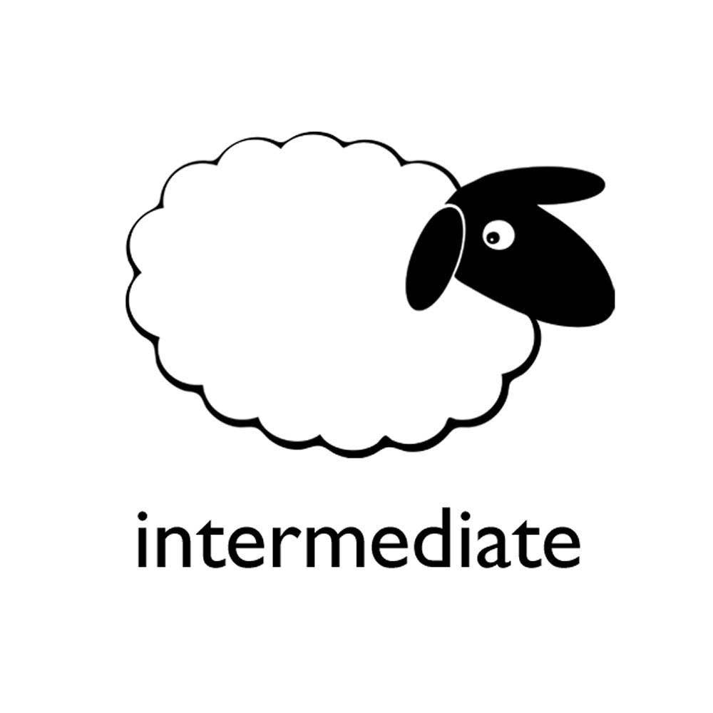 Chickens Felting Kit - SLOLife Studio & Mercantile