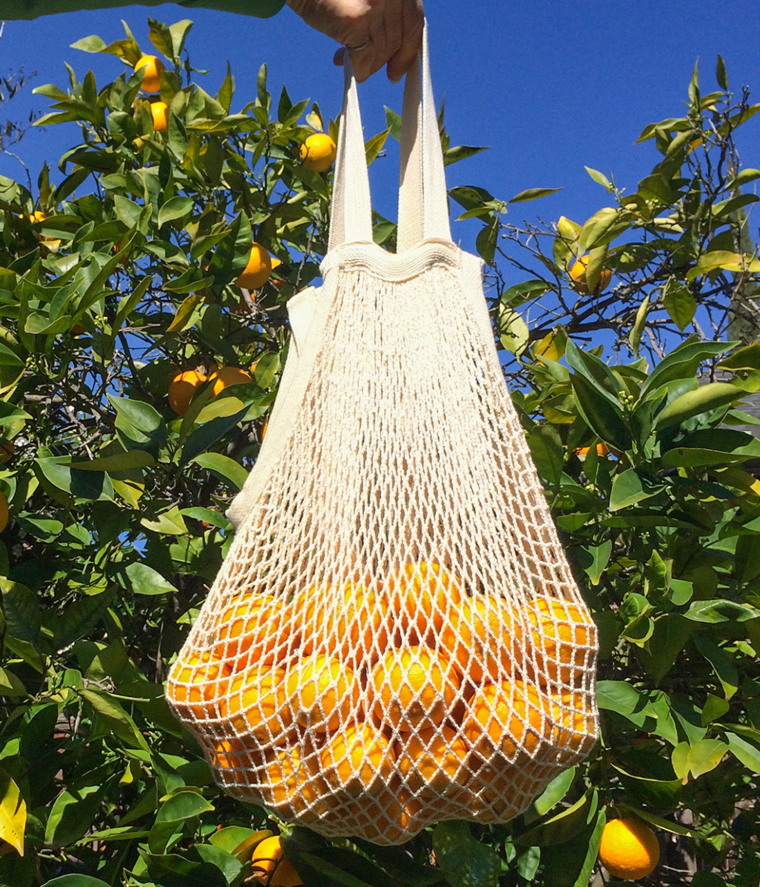 Organic Cotton Mesh Market & Beach Bag - SLOLife Studio & Mercantile