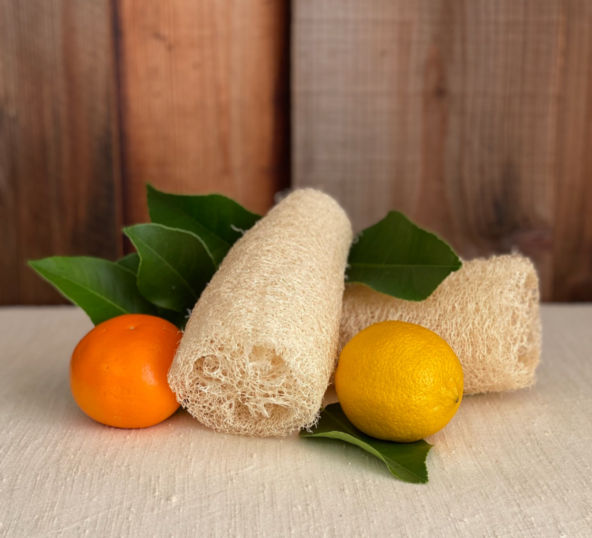 Loofah Sponge - SLOLife Studio & Mercantile