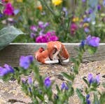 Sleepy Fawn Needle Felt Craft Kit - SLOLife Studio & Mercantile