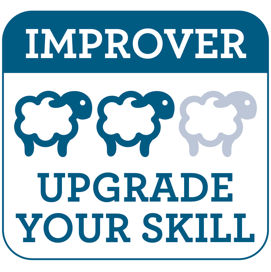 Sea Horse Needle Felt Craft Kit