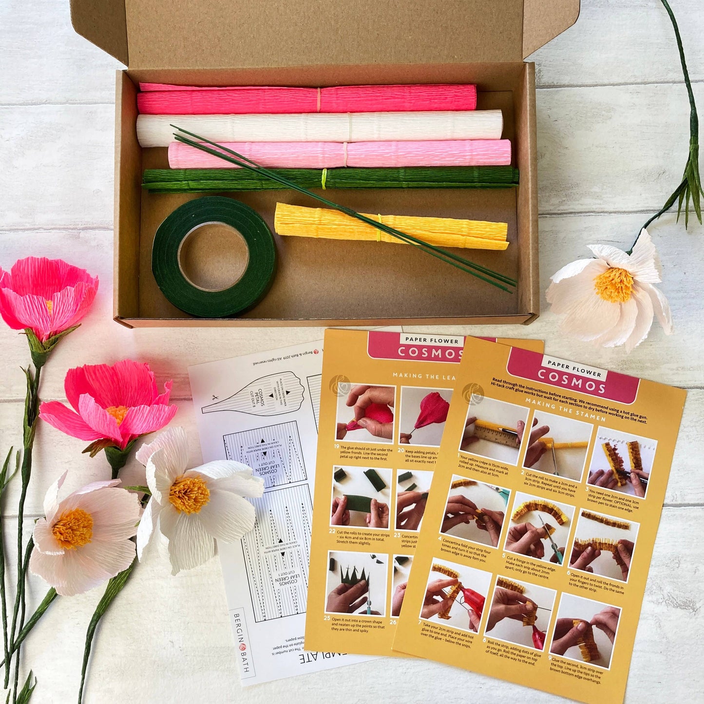 Cosmos Paper Flower Kit