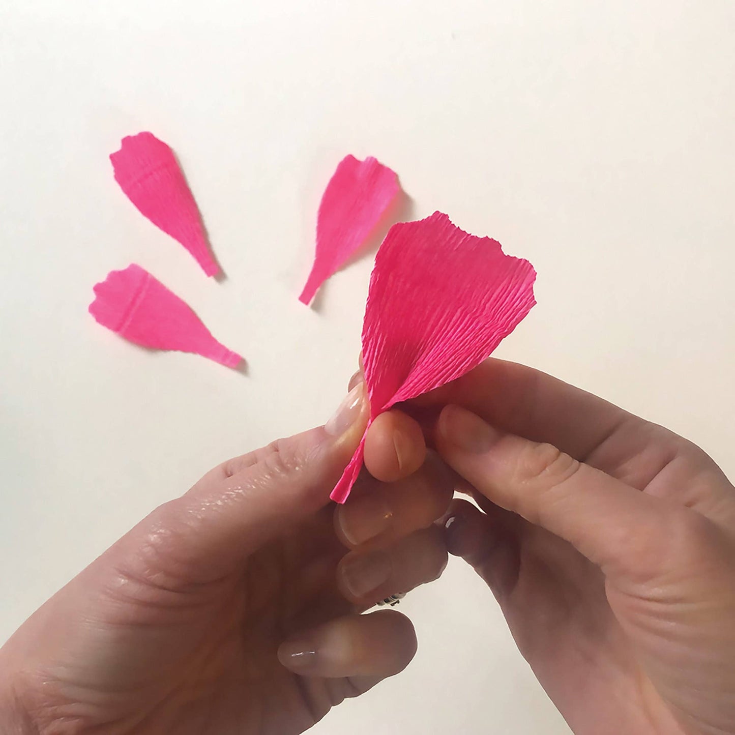 Cosmos Paper Flower Kit