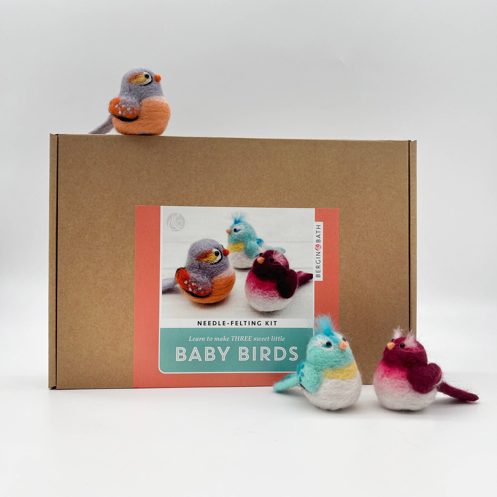 Baby Birds Needle Felting Kit - SLOLife Studio & Mercantile