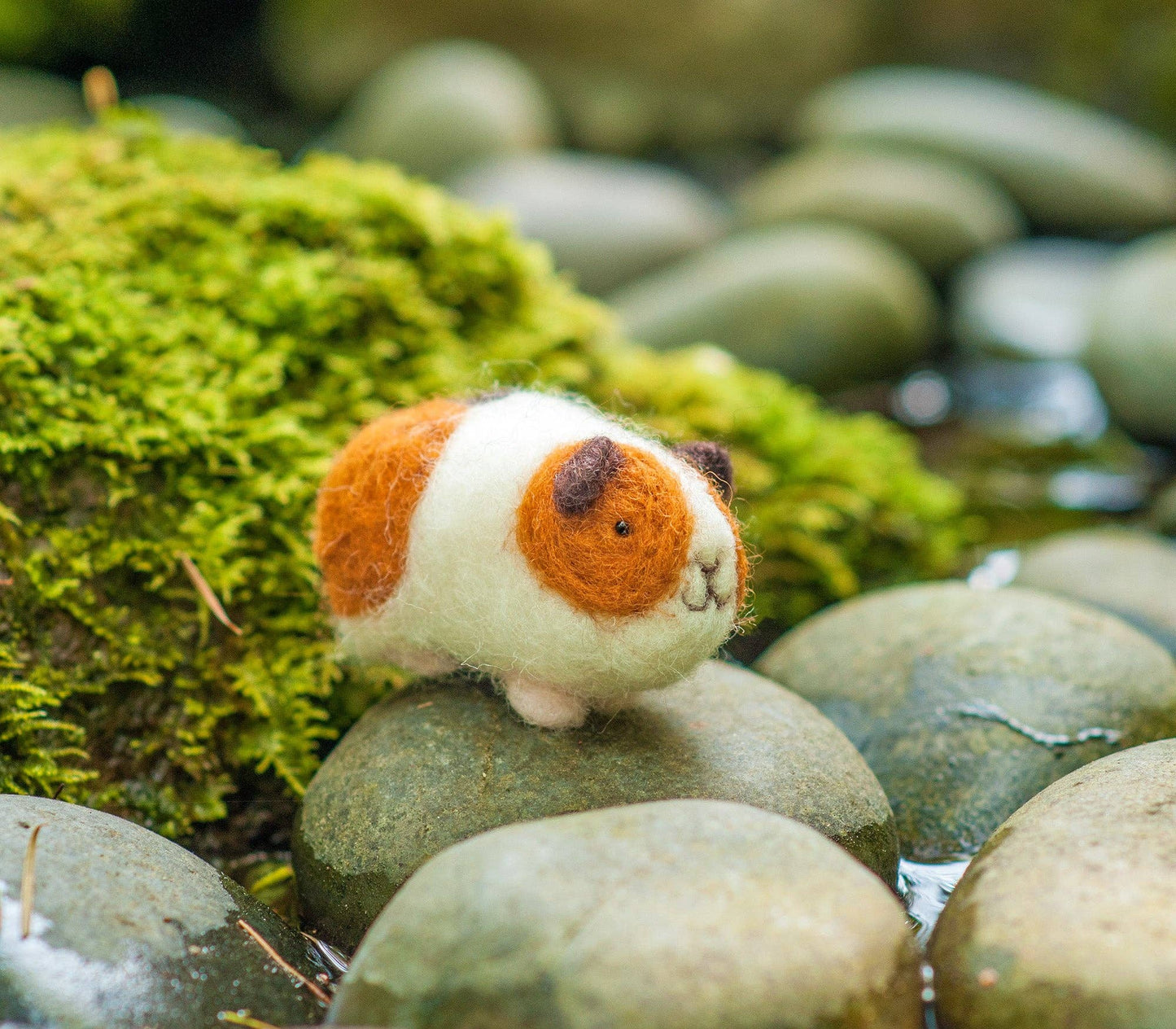 Guinea Pigs Felting Kit