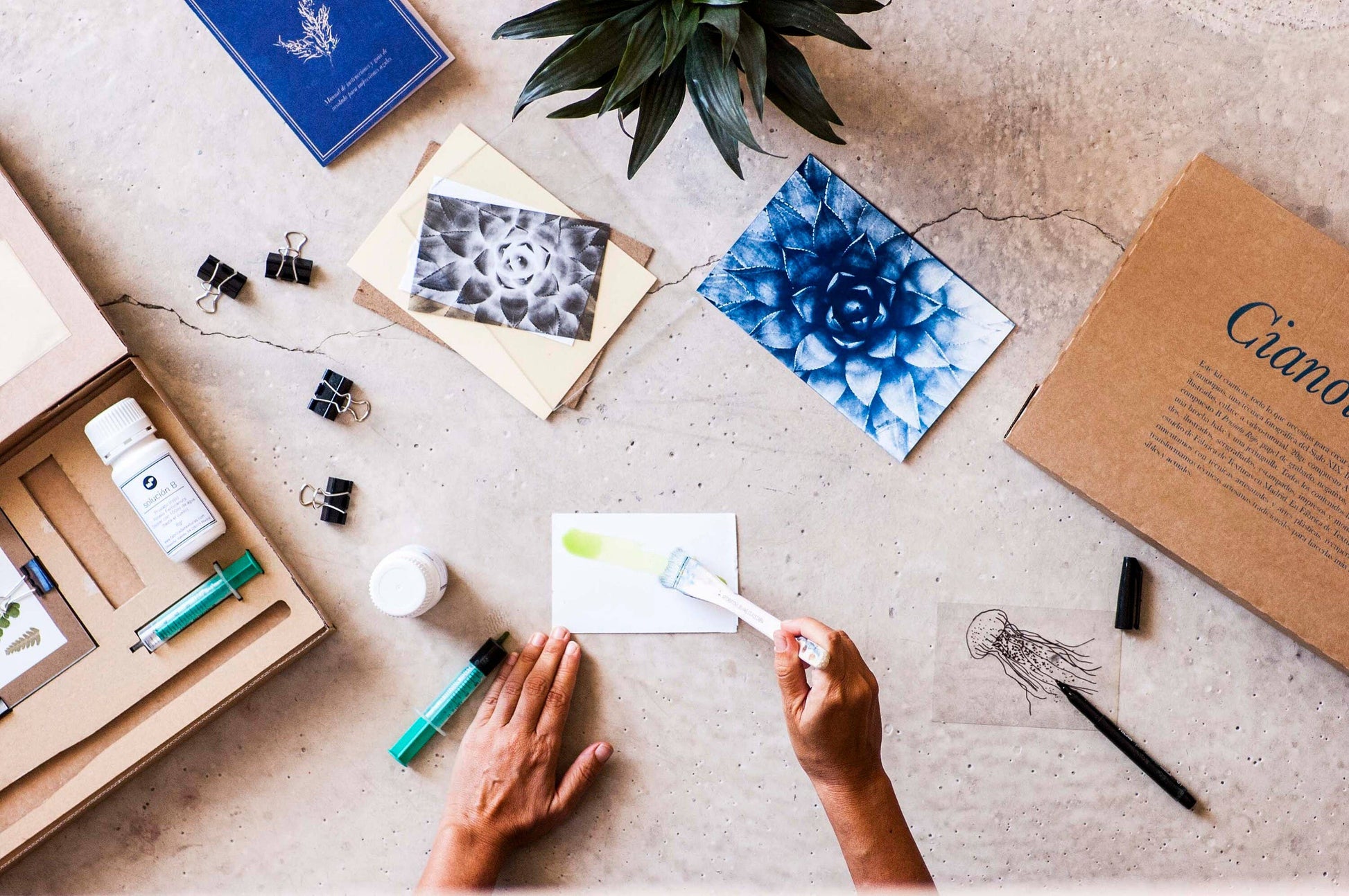 Cyanotype Kit - SLOLife Studio & Mercantile