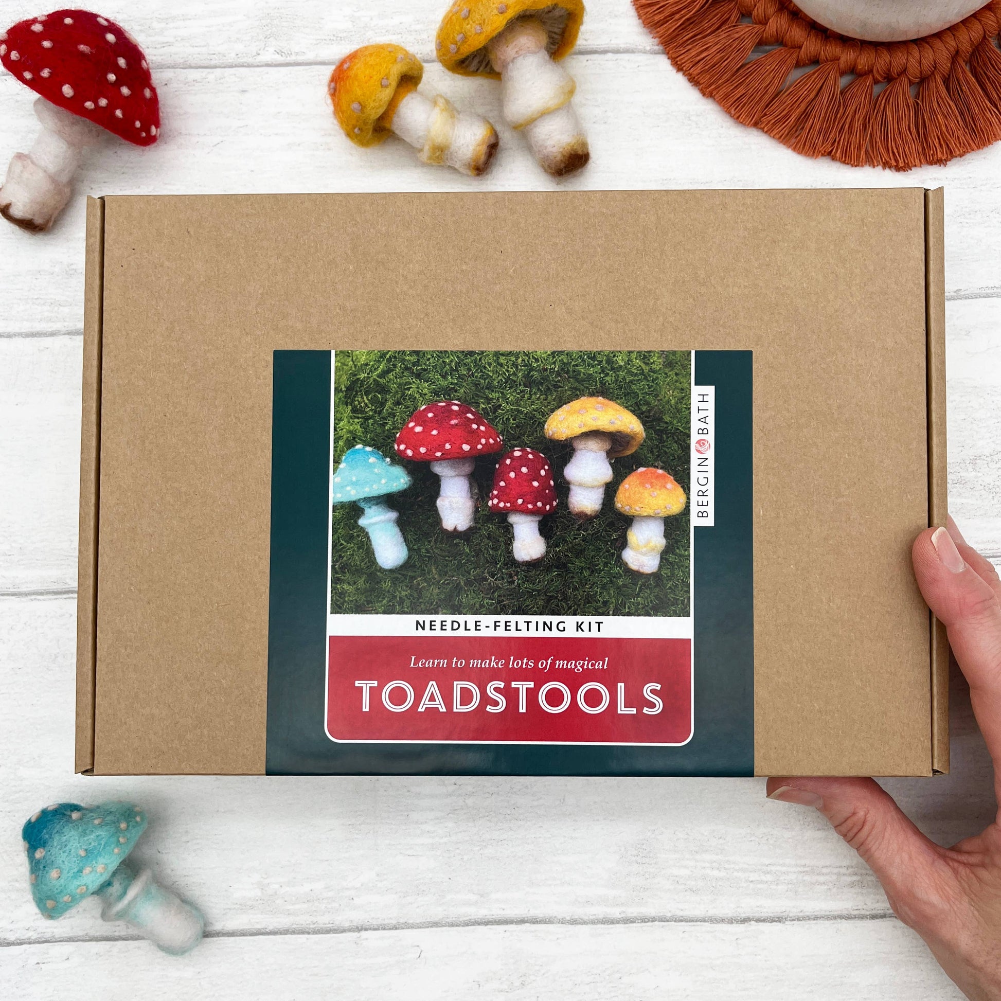 Toadstools Needle Felting Kit - SLOLife Studio & Mercantile