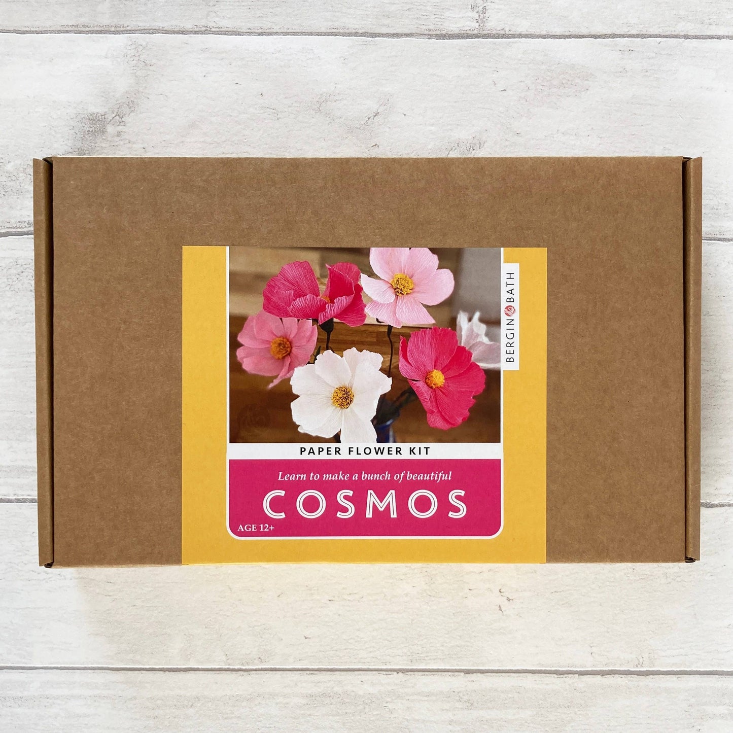 Cosmos Paper Flower Kit
