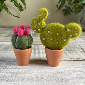 Cacti Needle Felting Kit