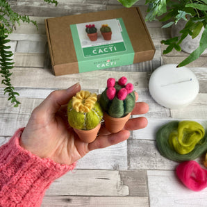 Cacti Needle Felting Kit