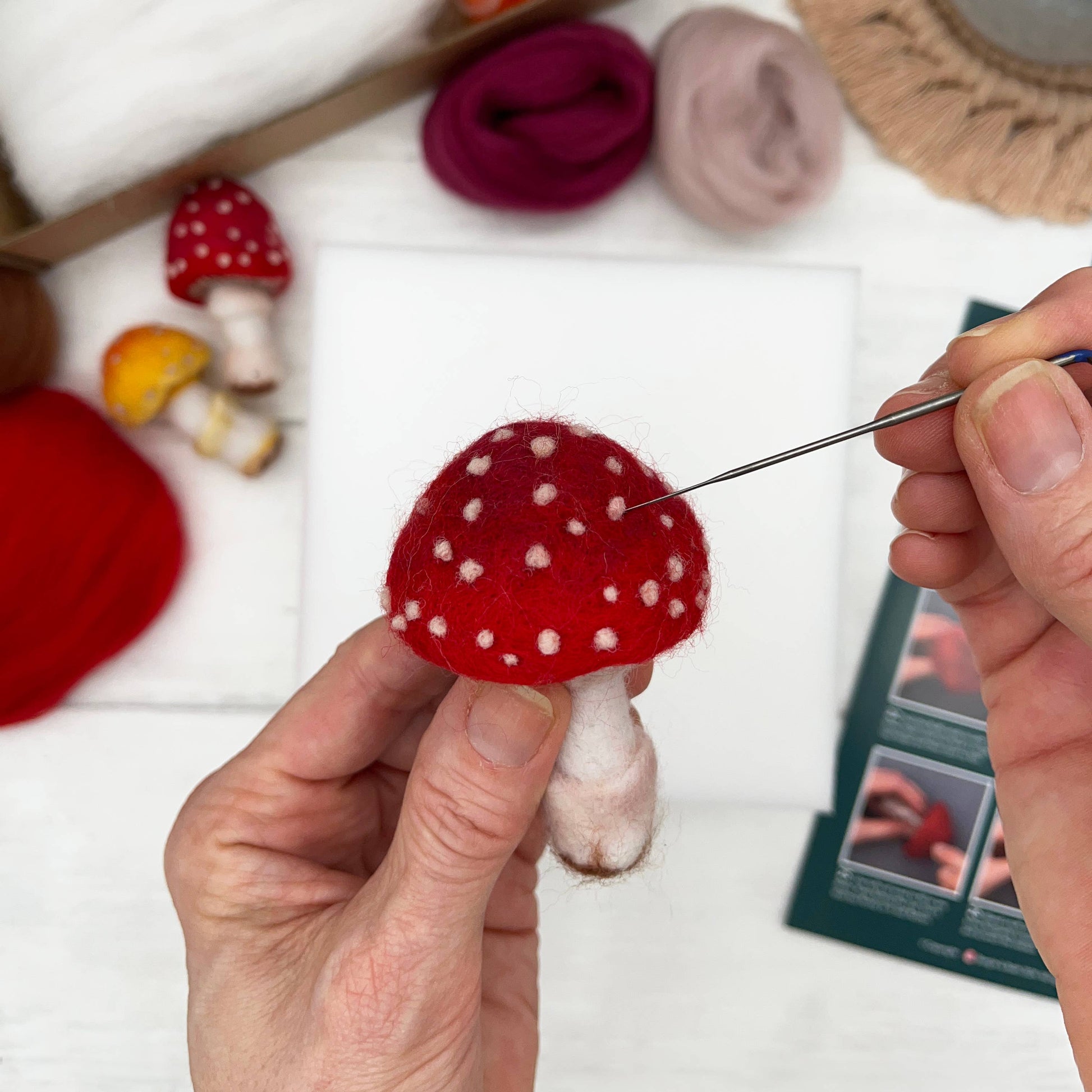 Toadstools Needle Felting Kit - SLOLife Studio & Mercantile