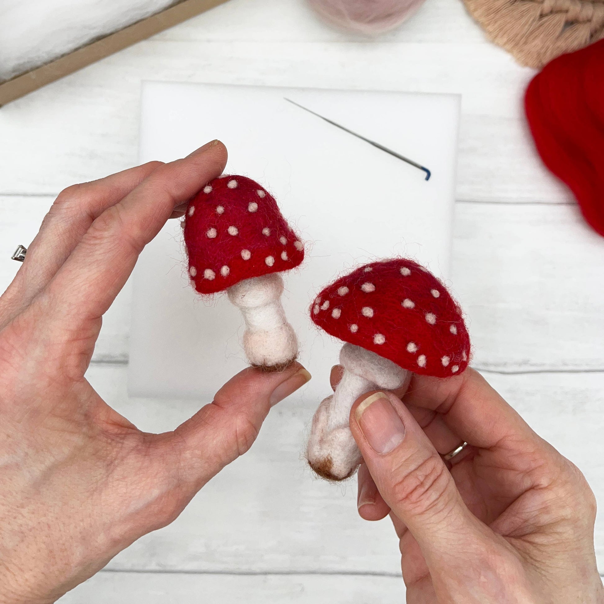 Toadstools Needle Felting Kit - SLOLife Studio & Mercantile