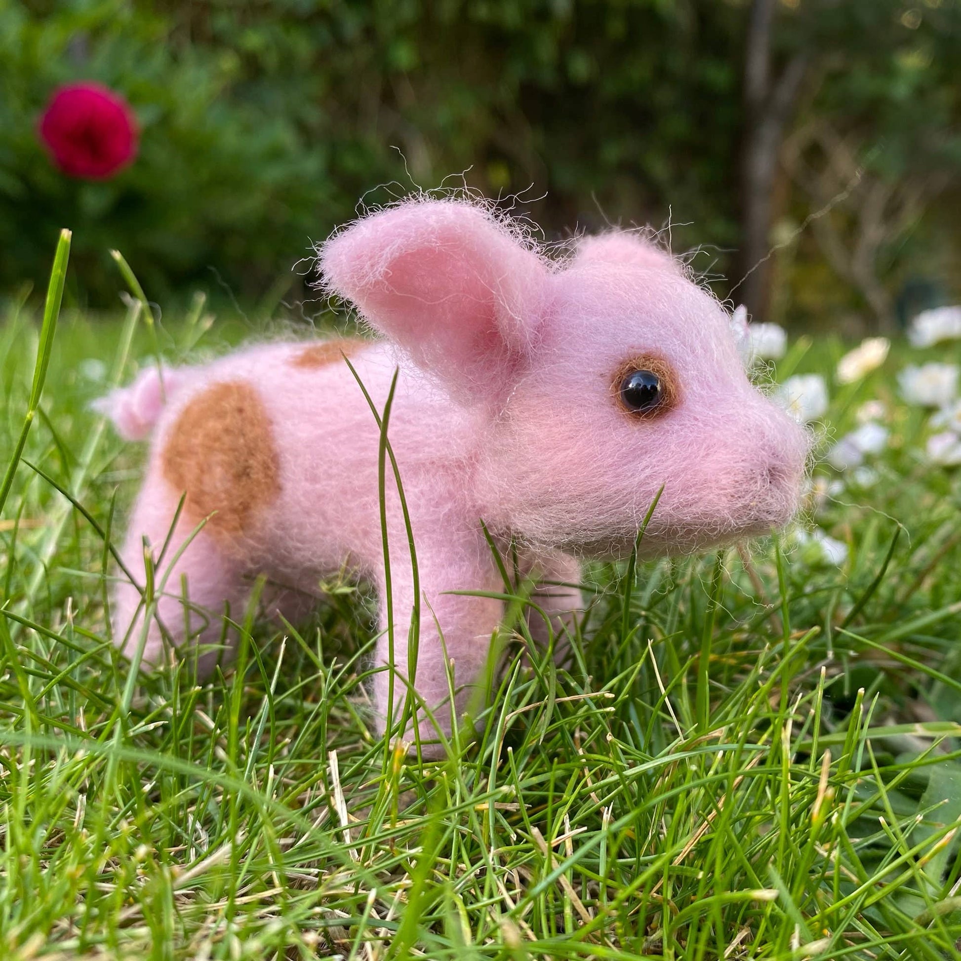 Needle Felting Piglet Kit - SLOLife Studio & Mercantile