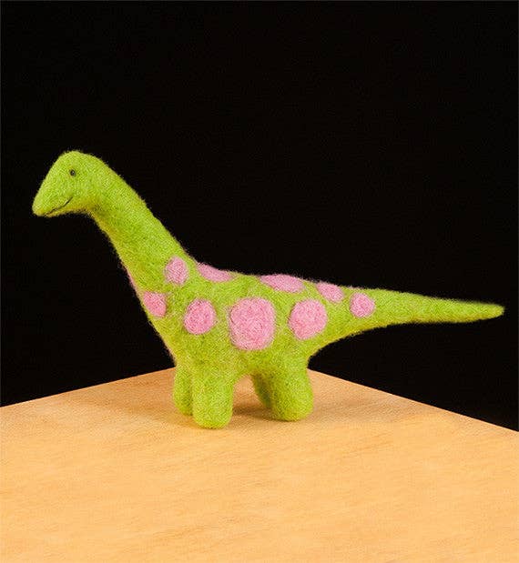 Dinosaur Felting Kit - SLOLife Studio & Mercantile