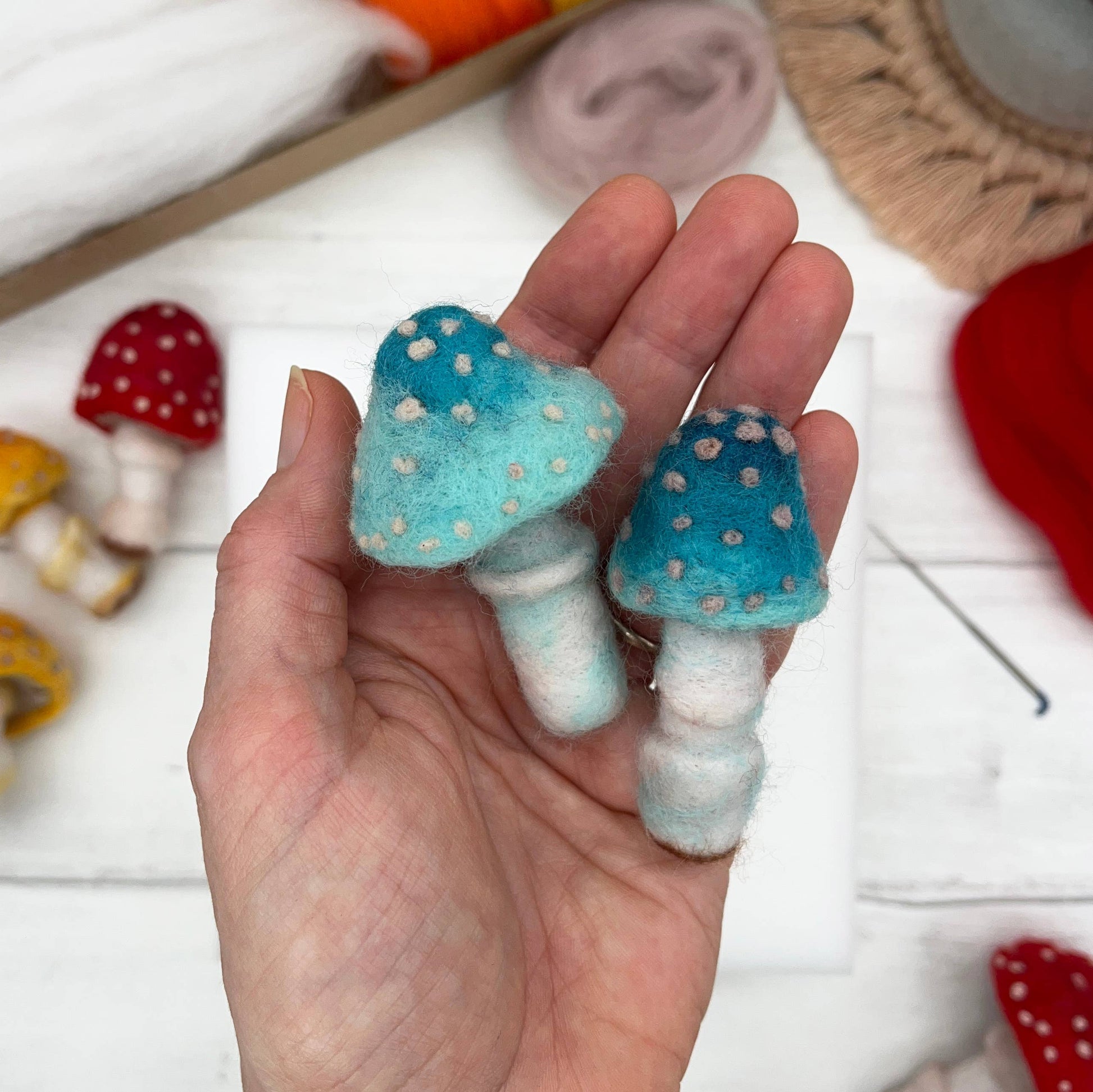 Toadstools Needle Felting Kit - SLOLife Studio & Mercantile