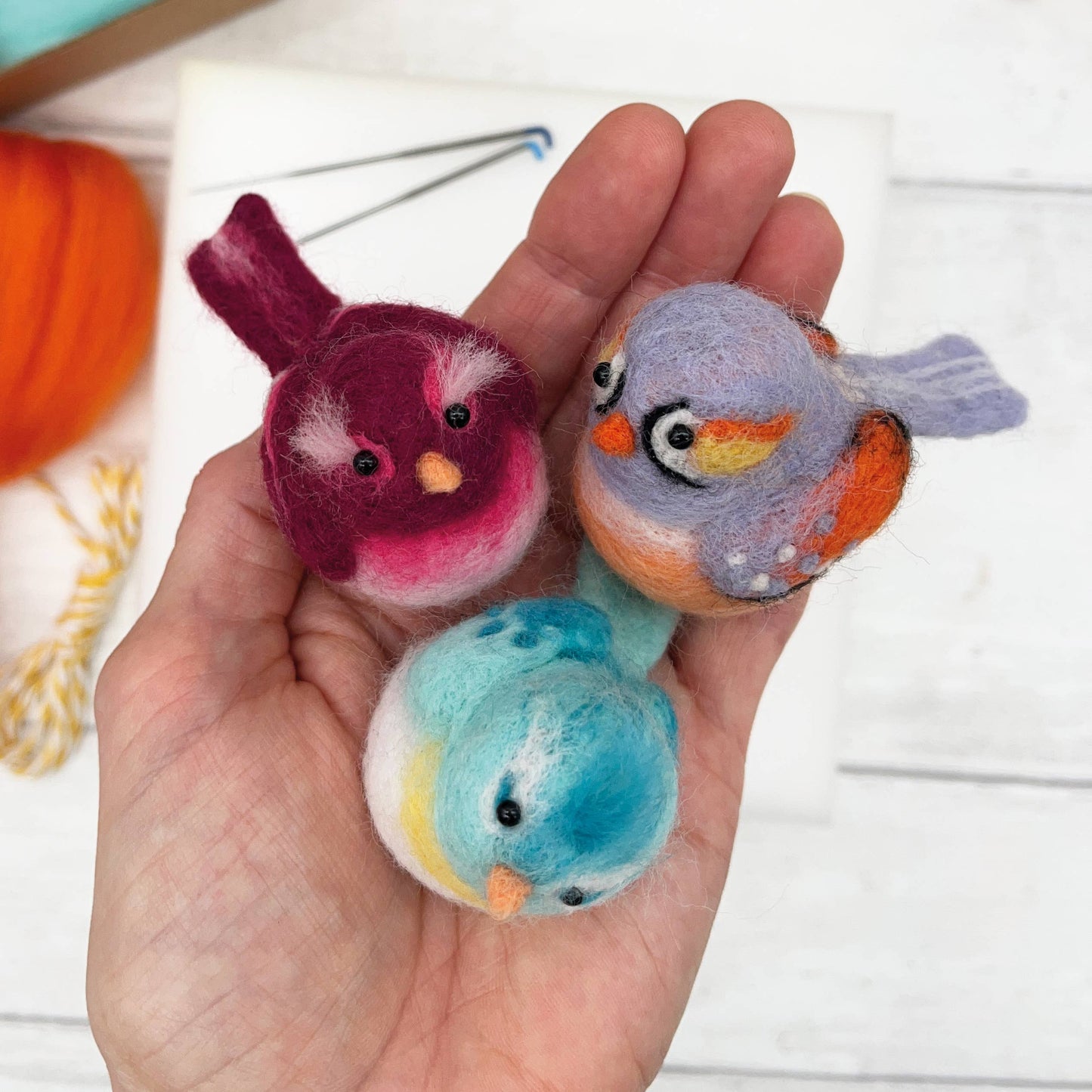 Baby Birds Needle Felting Kit - SLOLife Studio & Mercantile