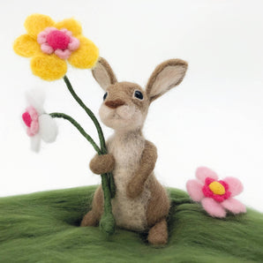 Easter Bunny Needle Felting Kit