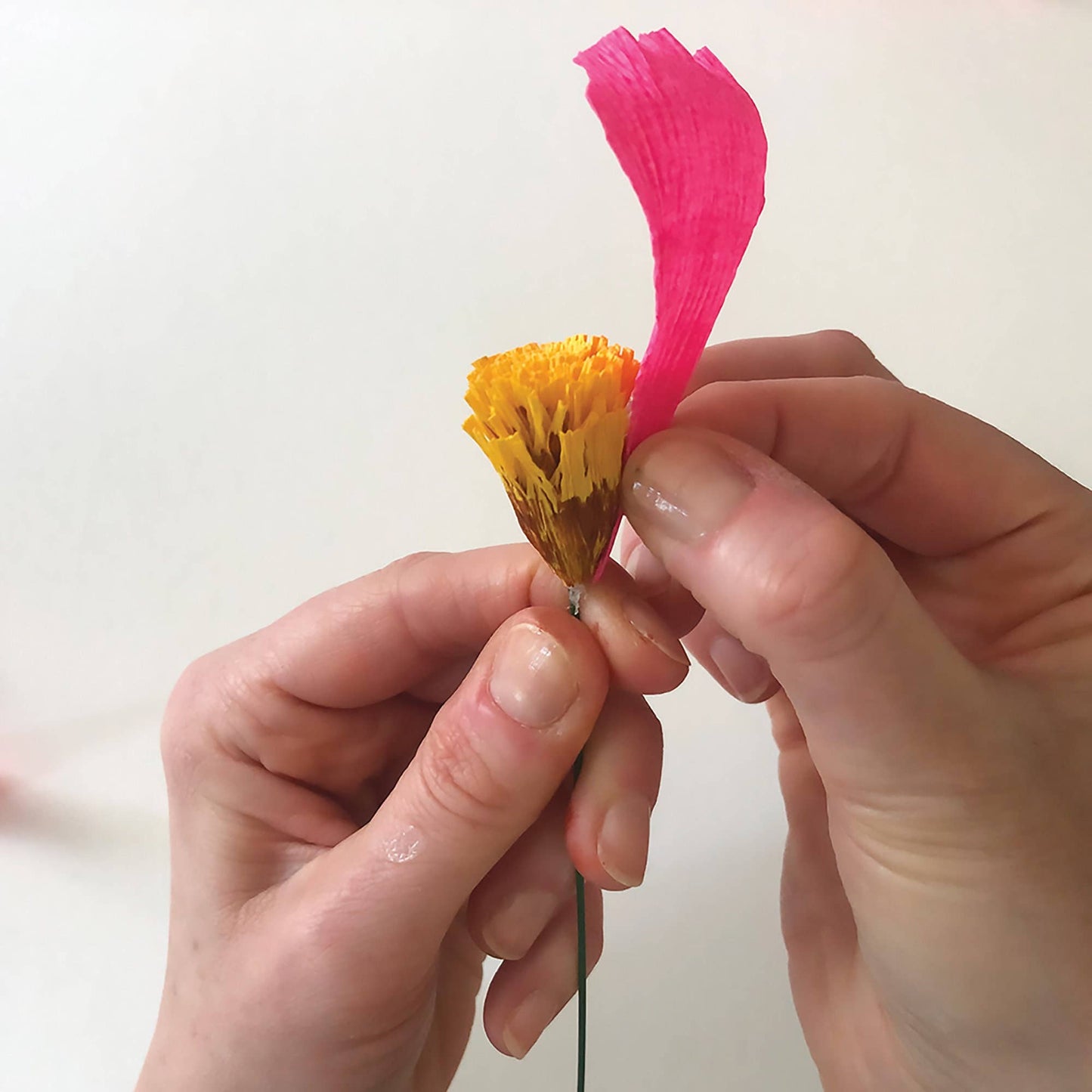 Cosmos Paper Flower Kit