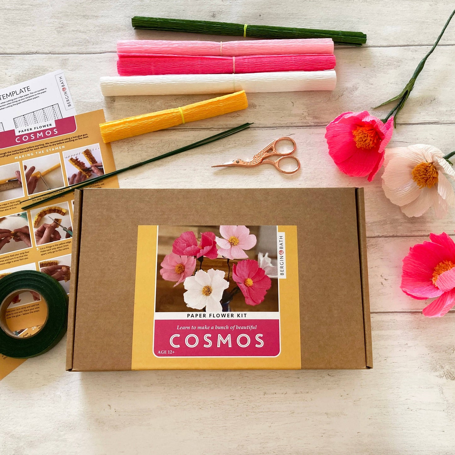 Cosmos Paper Flower Kit
