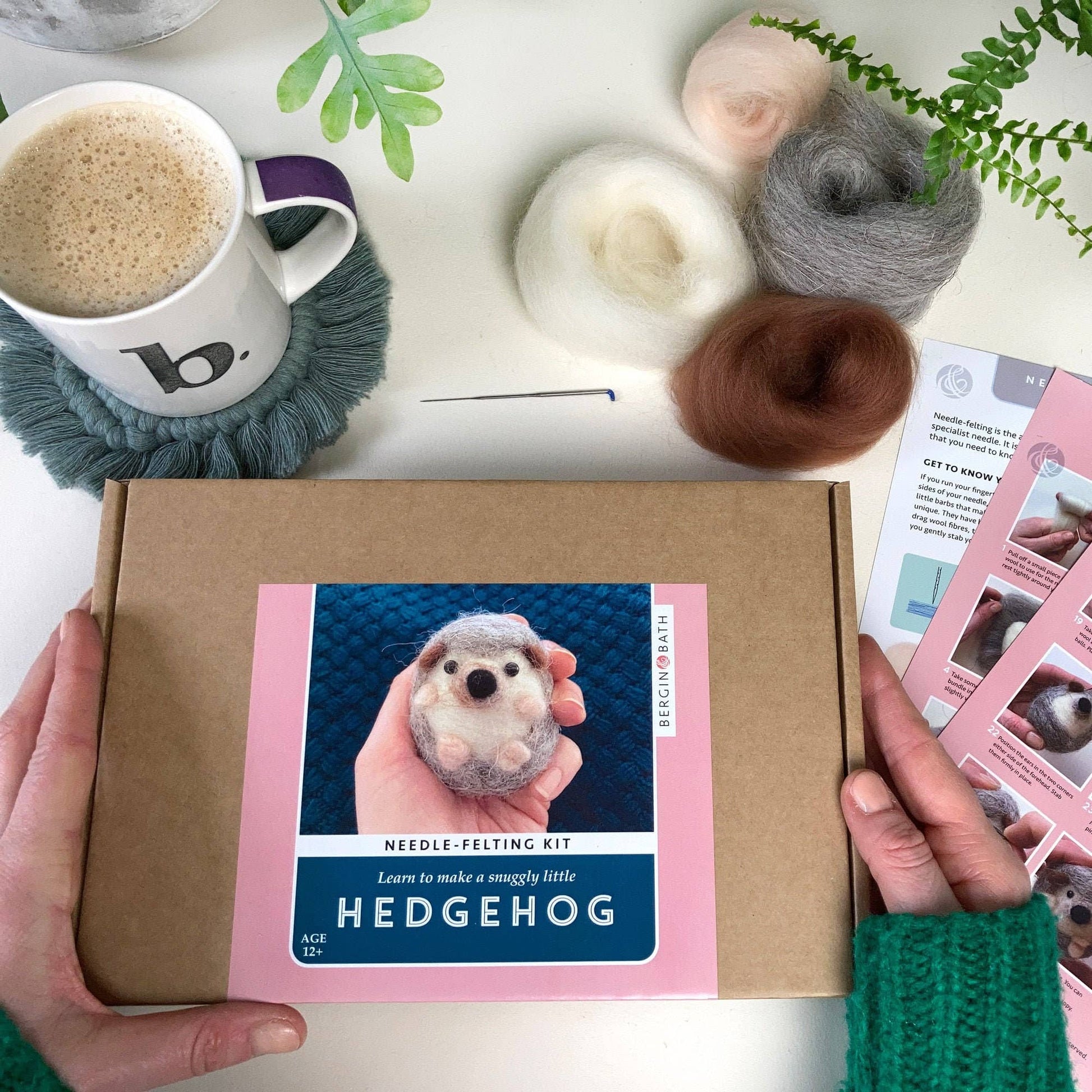 Hedgehog Needle Felting Kit - SLOLife Studio & Mercantile