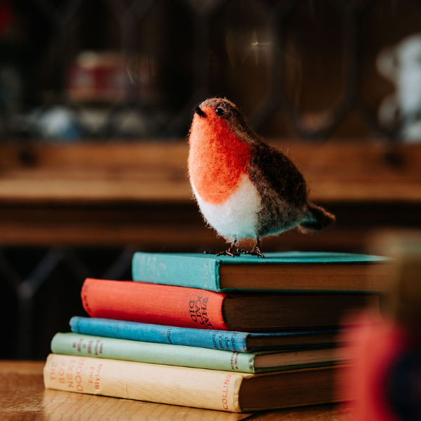 Red Robin Needle Felting Kit - SLOLife Studio & Mercantile