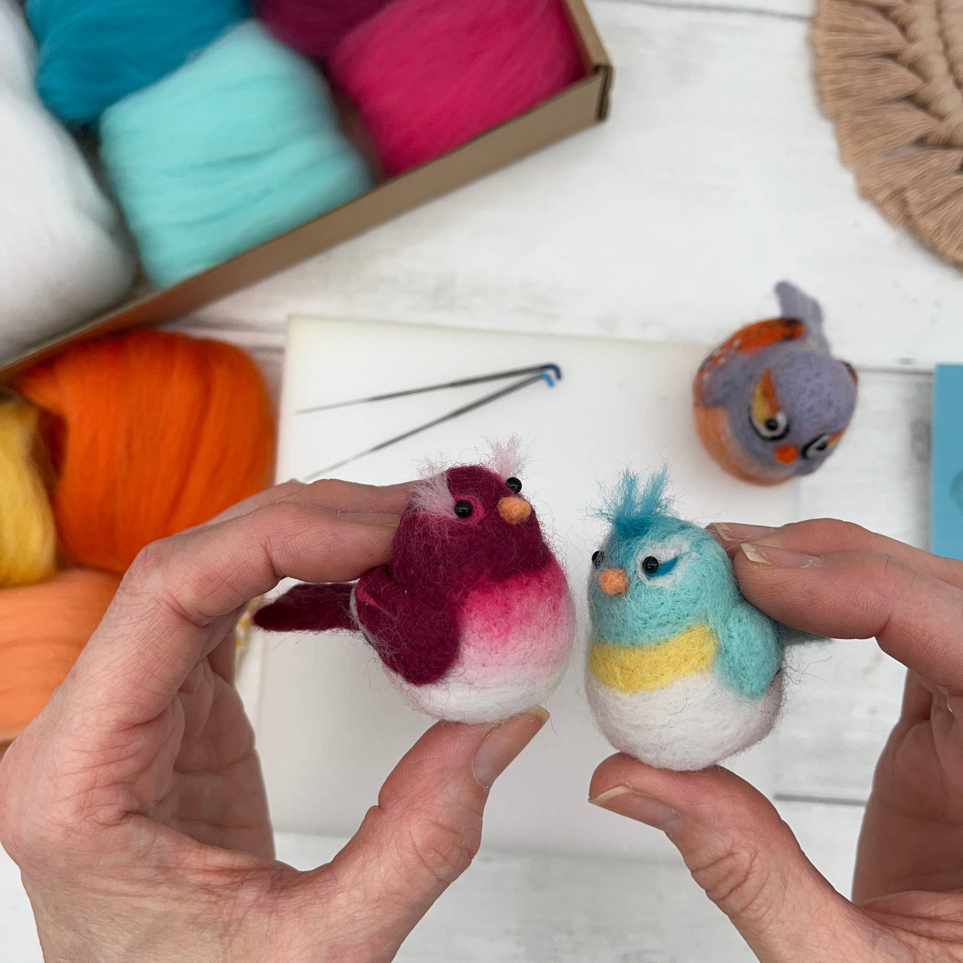 Baby Birds Needle Felting Kit - SLOLife Studio & Mercantile