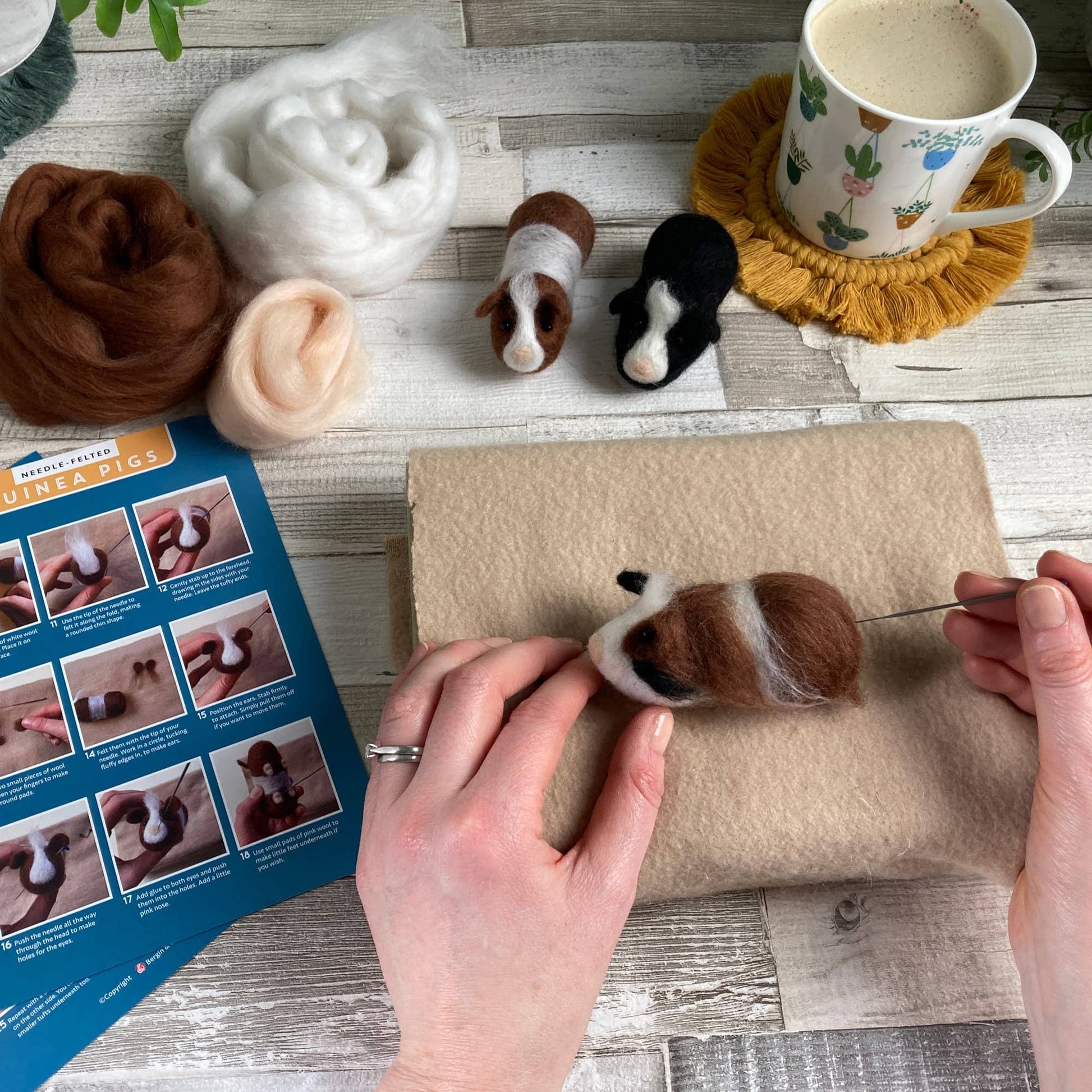 Needle felting kit - Guinea pigs - SLOLife Studio & Mercantile