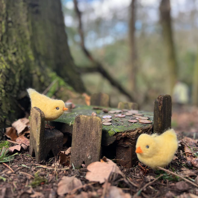 Chirpy Chicks - Needle Felting Kit