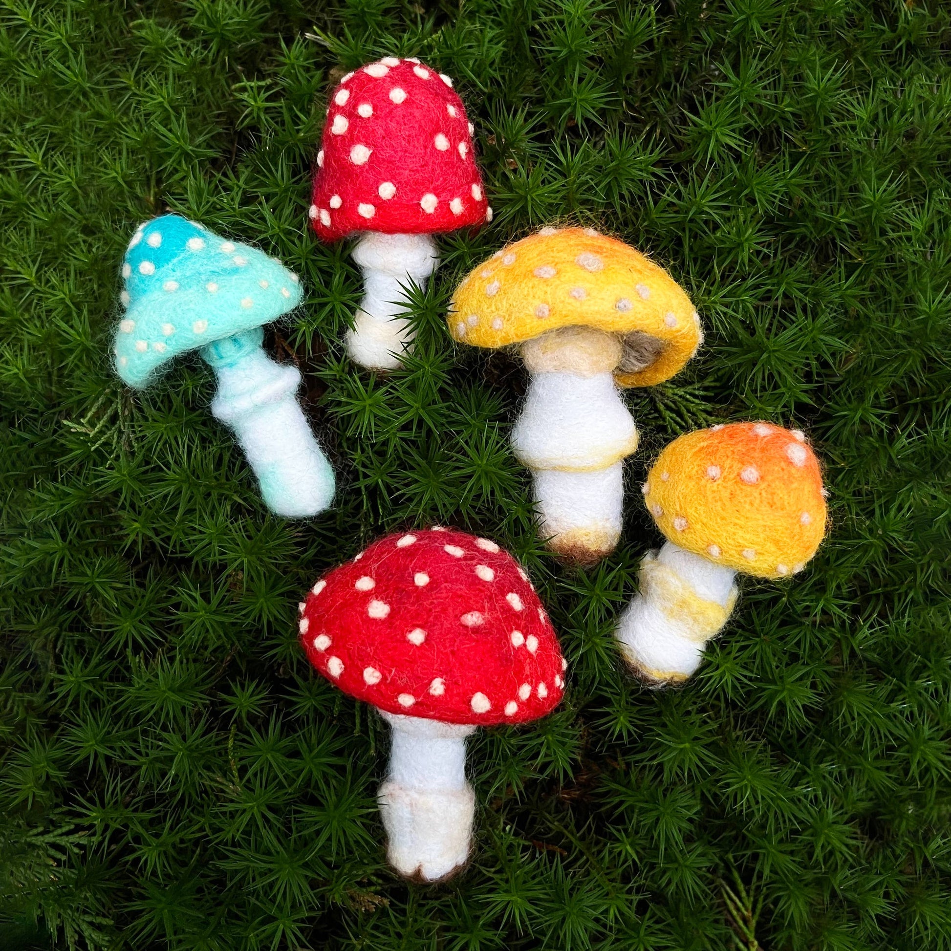 Toadstools Needle Felting Kit - SLOLife Studio & Mercantile