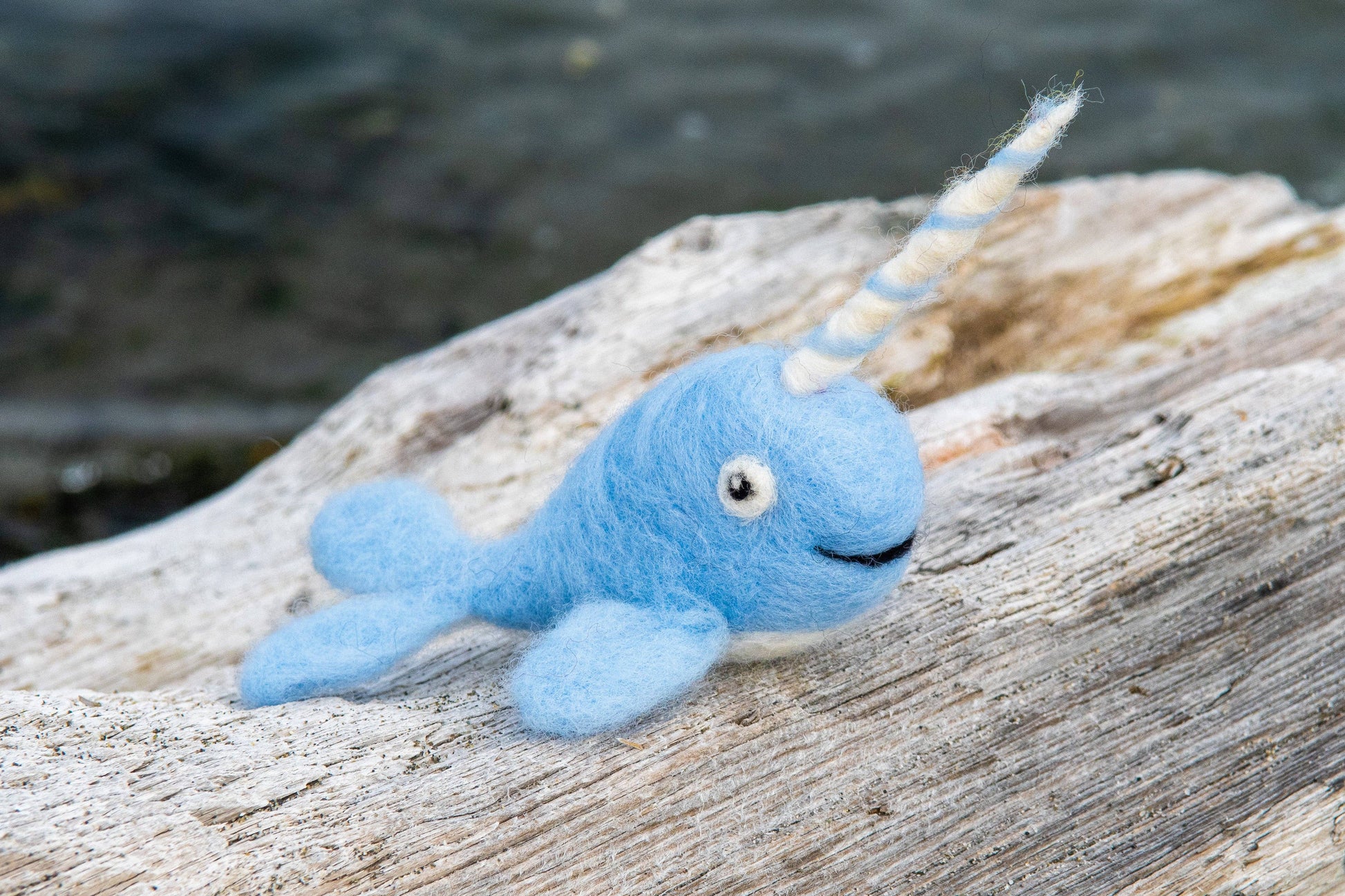 Narwhal Felting Kit - SLOLife Studio & Mercantile