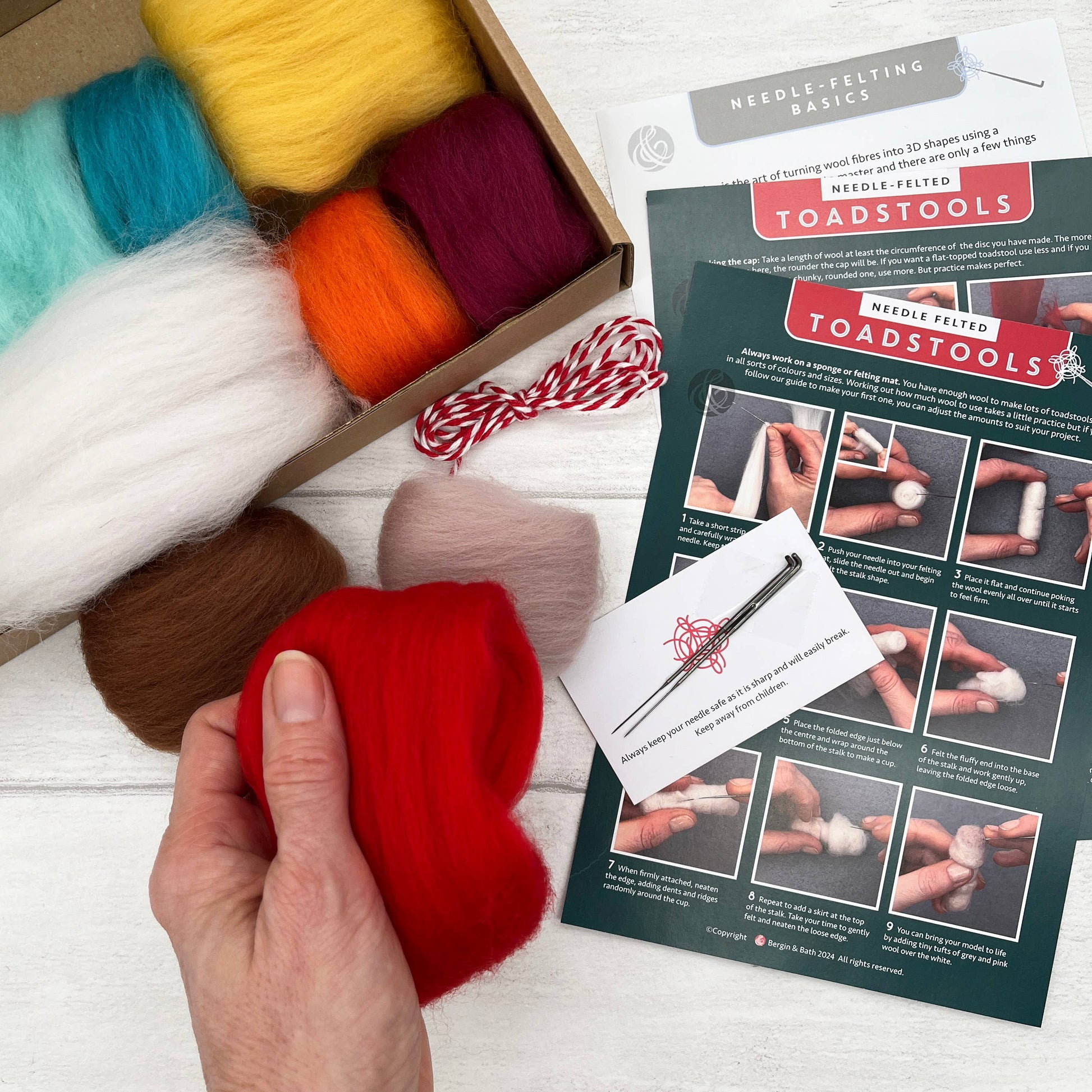 Toadstools Needle Felting Kit - SLOLife Studio & Mercantile