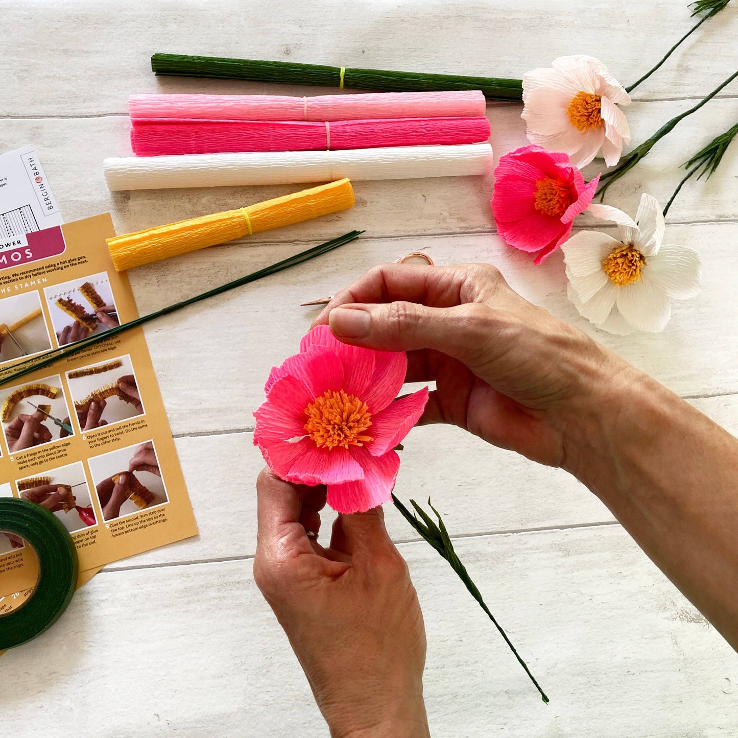 Cosmos Paper Flower Kit