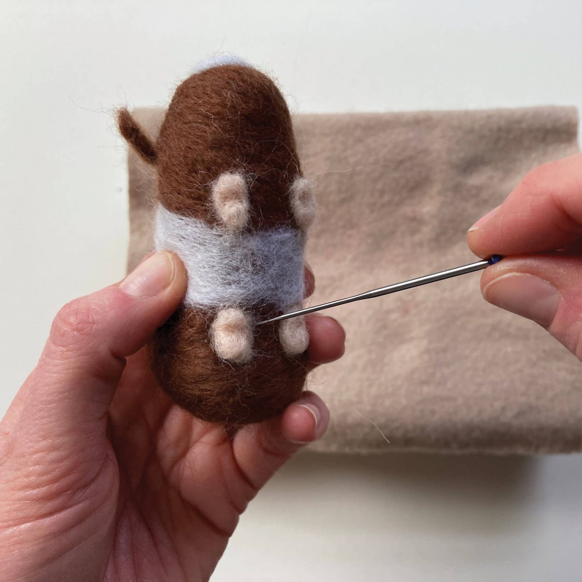 Needle felting kit - Guinea pigs - SLOLife Studio & Mercantile