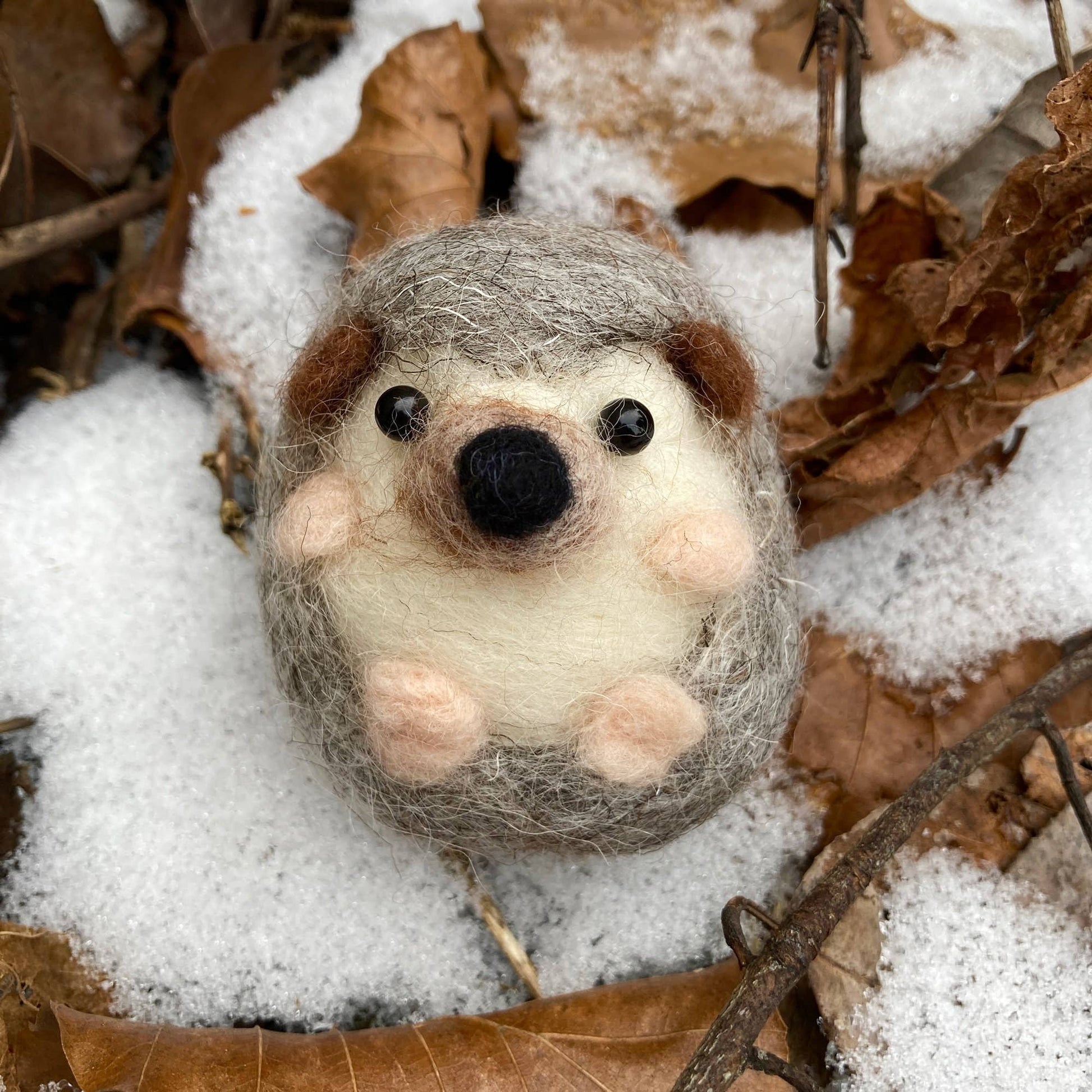 Hedgehog Needle Felting Kit - SLOLife Studio & Mercantile