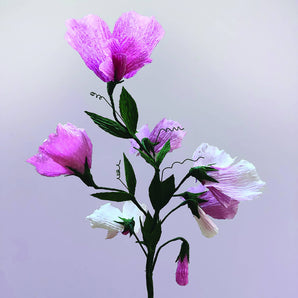 Sweet Peas Paper Flower Kit