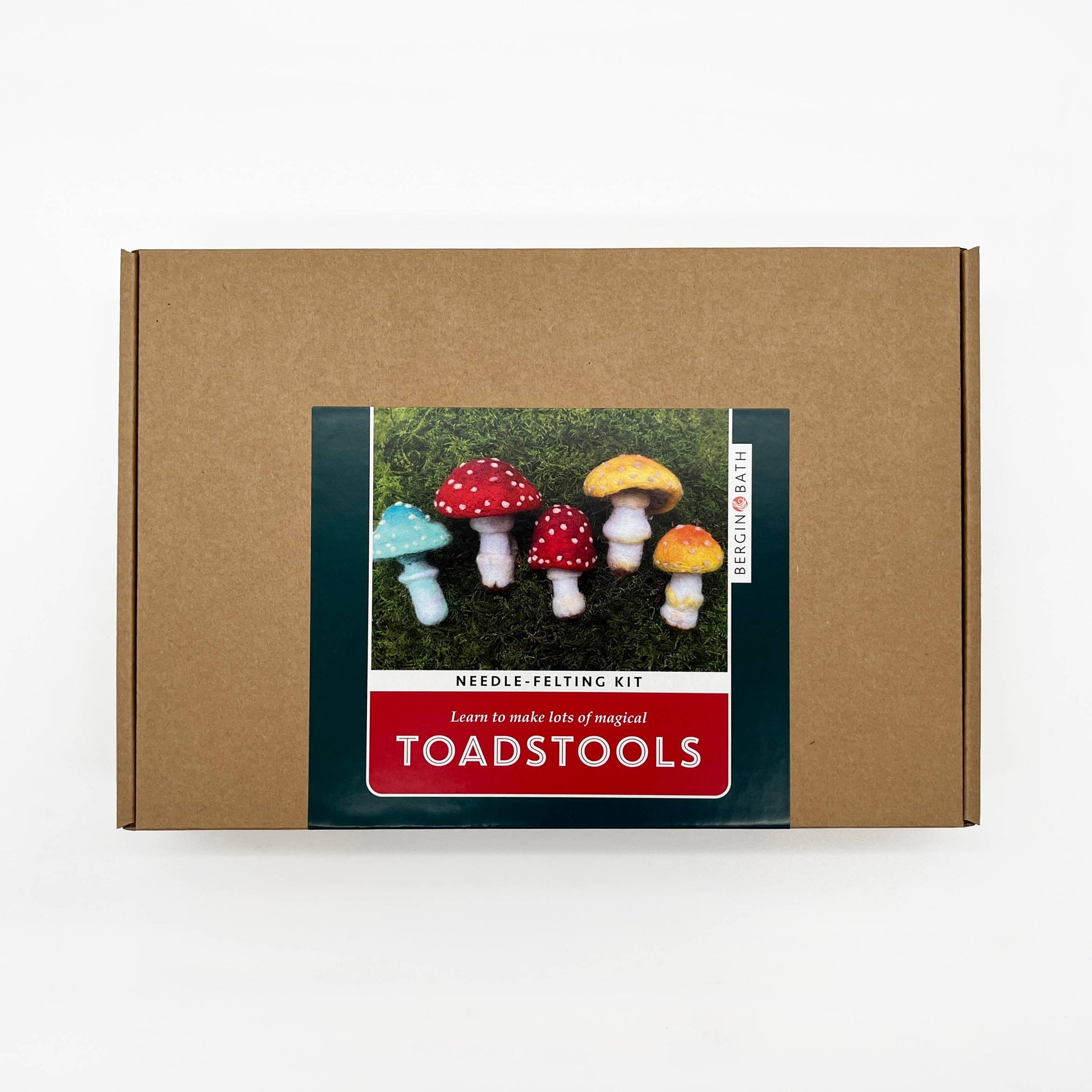 Toadstools Needle Felting Kit - SLOLife Studio & Mercantile