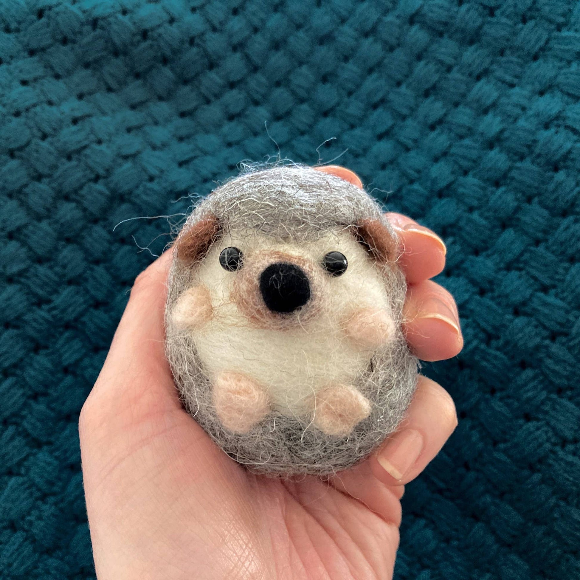 Hedgehog Needle Felting Kit - SLOLife Studio & Mercantile