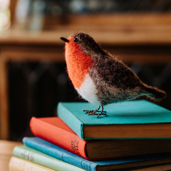 Red Robin Needle Felting Kit - SLOLife Studio & Mercantile