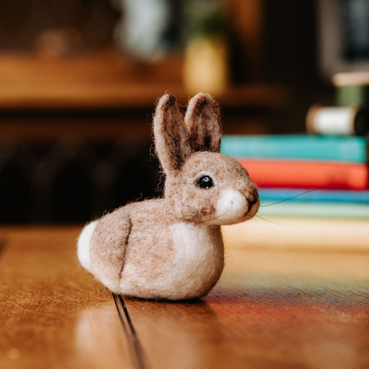 Baby Bunny Needle Felting Kit - SLOLife Studio & Mercantile