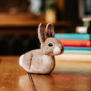 Baby Bunny Needle Felting Kit